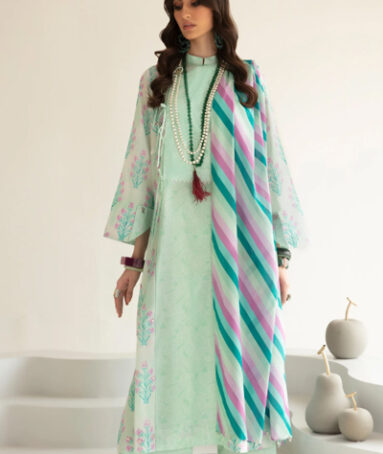 ‘Emel' A Classic Kurta Daily-Wear