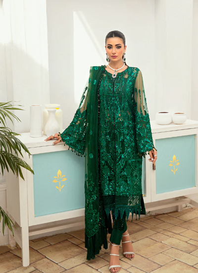 Embroidered Daman Border On Net Fabric