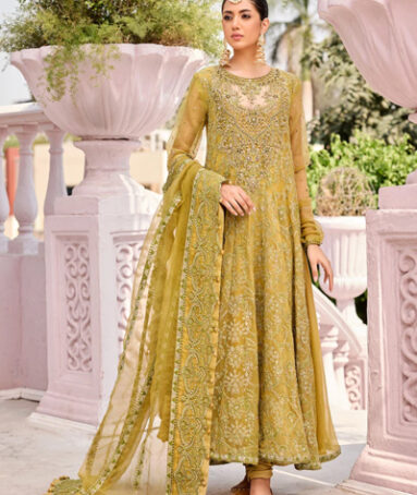 Organza Embroidered Adda Work Neckline